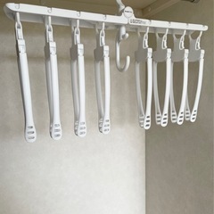 【フランフラン】折りたたみハンガーの画像