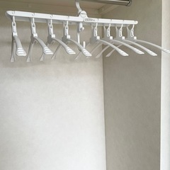 【フランフラン】折りたたみハンガーの画像