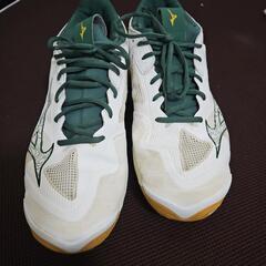 バレーボールシューズ28.5センチ