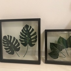 モンステラなどの造葉　額縁