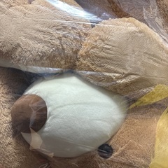 くまのぬいぐるみ(巨大)の画像