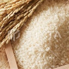 新米買わせてください　白米　値段相談　紹介料1000