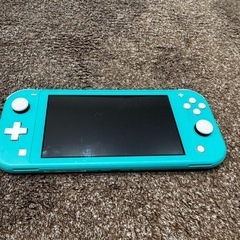 スイッチライト　動作ok!　