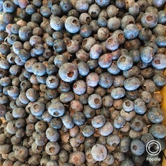 【取引済み23】ブルーベリーの木　鉢植えの画像
