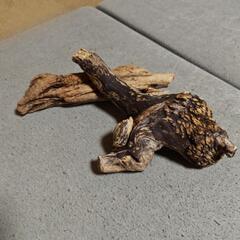 値下げ💦🛑a天然流木の画像