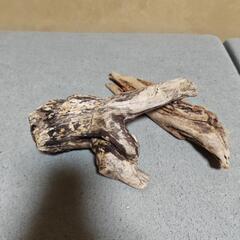 値下げ💦🛑a天然流木の画像