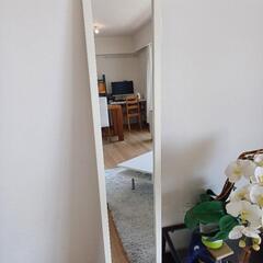 全身鏡・姿見　高さ150cm/幅25cm/奥行39cmの画像