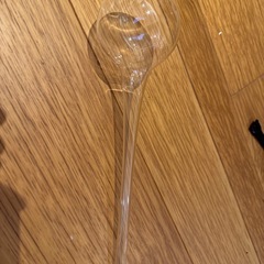 観葉植物_ガラス水差し