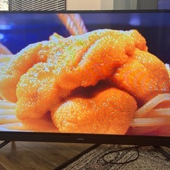 55V型 地上・BS・110度CSデジタルフルハイビジョン液晶テレビ