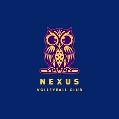 練習試合相手募集中～🫶 - 江東区