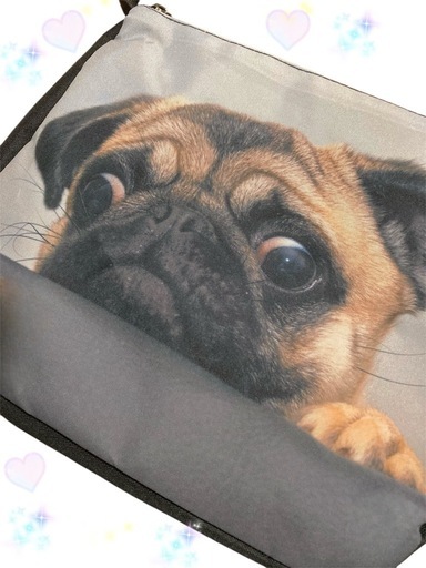 猫と犬のプリント ショルダーバッグ まとめて10個と5個のおまけ⭐︎未