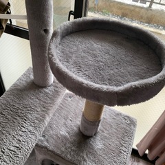 猫の木の画像