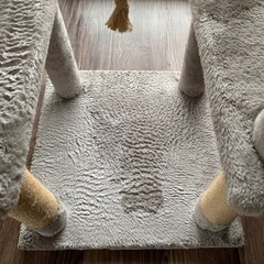 猫の木の画像