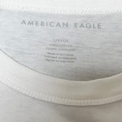 tシャツ アメリカンイーグルの画像