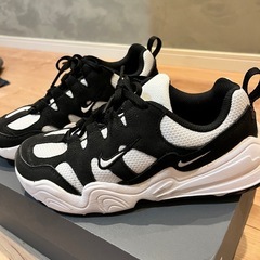 NIKE　レディースシューズ23㎝の画像