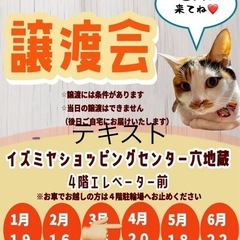 4/20(日)保護猫の譲渡会🐈