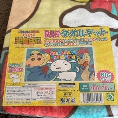 BIGタオルケット クレヨンしんちゃん　オラたちの恐竜日記の画像