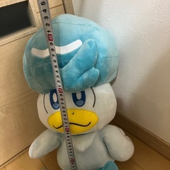 ポケモンセンターオリジナル ぬいぐるみ 等身大クワッス　の画像