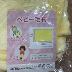 【お盆期間中売り切り】オーガニックコットン　掛ふとん＆ペビー枕の画像