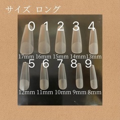 ネイルチップの画像