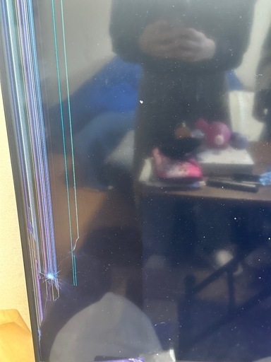 洗濯機、冷蔵庫、50inch TV（液晶割れ）