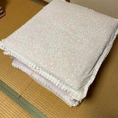 座布団　一般的な白いカバーの物　８枚