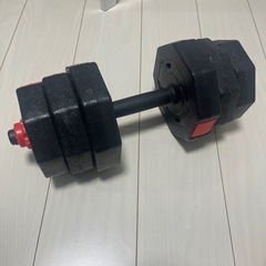 ダンベル 10キロ　