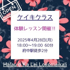 🌴4/28(月)府中フラダンス体験会🌈【子供クラス】新規オープン‼️の画像