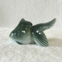 金魚の中古が安い！激安で譲ります・無料であげます｜ジモティー
