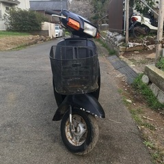 MINT 50 不動