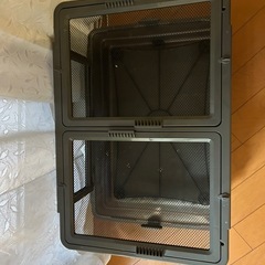 爬虫類ゲージ