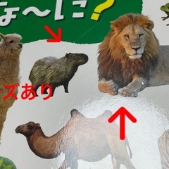 【比較的綺麗な中古】子供本　どうぶつなーに？の画像