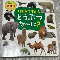 【比較的綺麗な中古】子供本　どうぶつなーに？