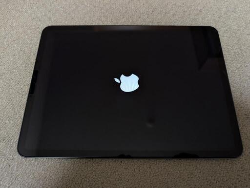 iPad Pro11 &Apple Pencil