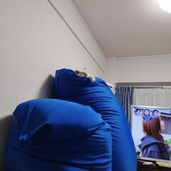 精神障がいのある方