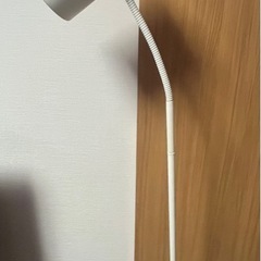 スポット ライト 