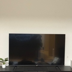 テレビ（50型）