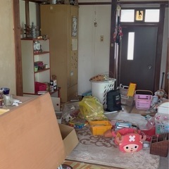 保護猫シェルター作成中！