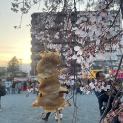 こんな時間からだけど