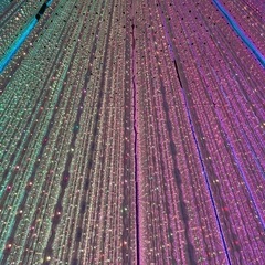 【期間限定】商用利用OK！画像加工・動画編集などご依頼ください！の画像