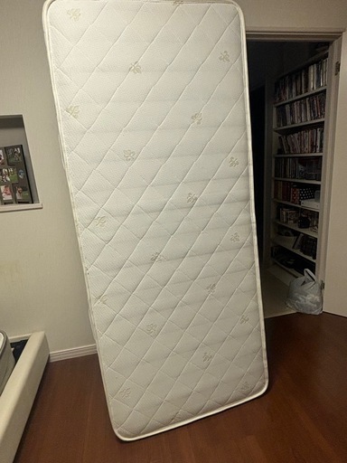 【お話中】クイーン　ベット