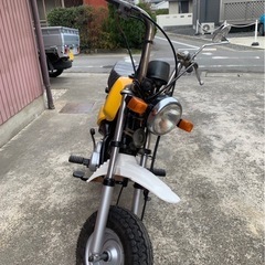 ポッケ　55cc 黄色ナンバー　フルノーマルの画像