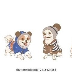 ペットのリメイク服の画像