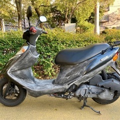 実働SUZUKIアドレスV125Gの画像