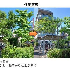 ♦庭のお手入れ致します♦ - 立川市