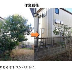 ♦庭のお手入れ致します♦ - 剪定/造園