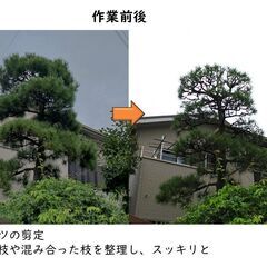♦庭のお手入れ致します♦ − 東京都