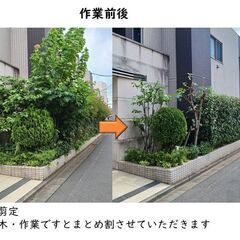 ♦庭のお手入れ致します♦ - 地元のお店