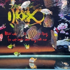 水槽セットの画像