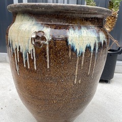 メダカ鑑賞　壺　
